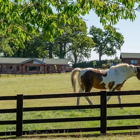 Alborada * Constable Burton